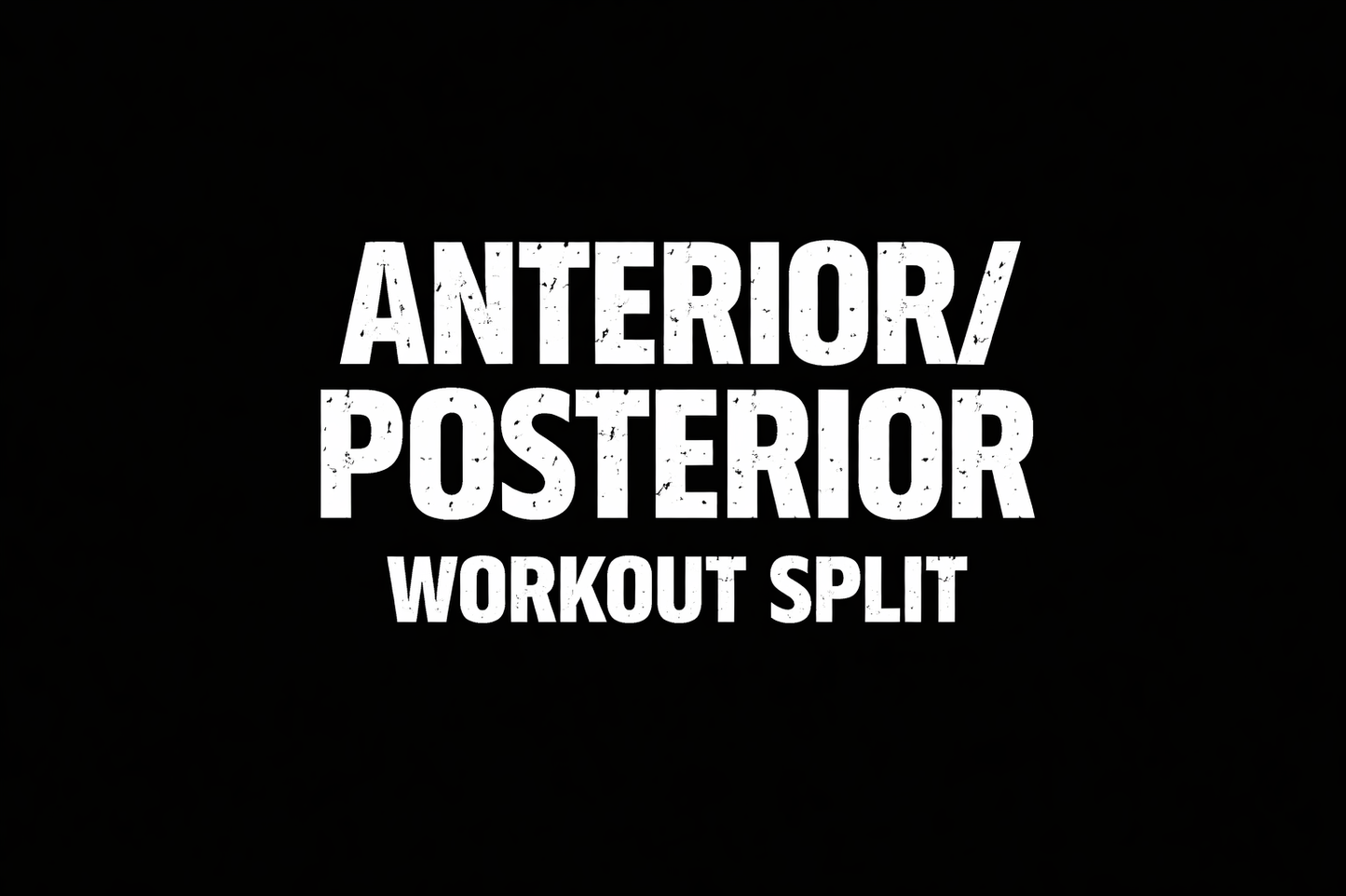 Anterior/Posterior Workout Split